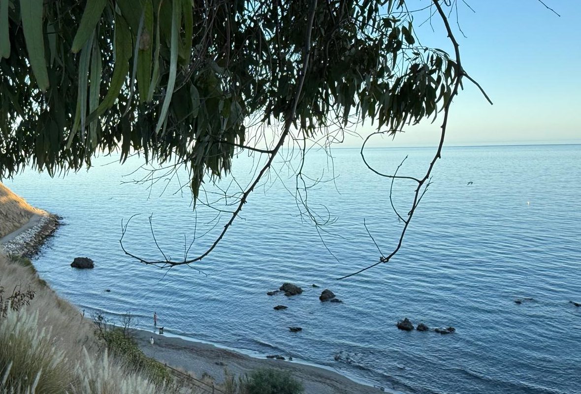 View of the Mediterranean on the Costa del Sol